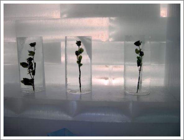 drei Eiszylinder mit Blumen nebeneinander